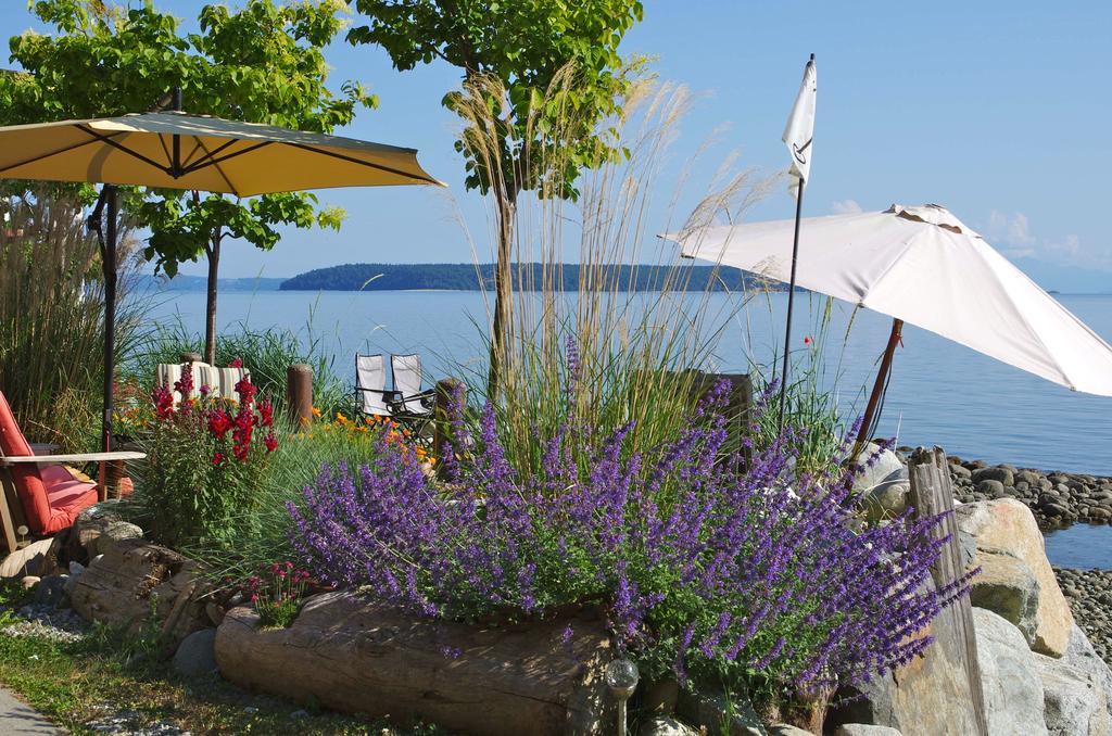 Blitz Beach House Oceanside Suite Powell River Kültér fotó