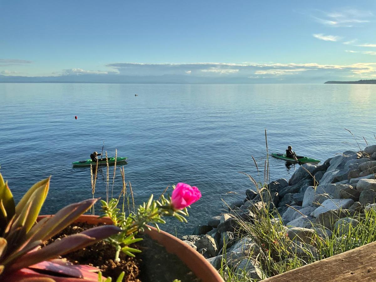 Blitz Beach House Oceanside Suite Powell River Kültér fotó