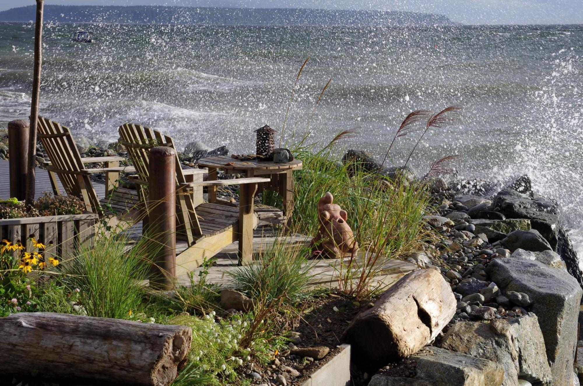 Blitz Beach House Oceanside Suite Powell River Kültér fotó