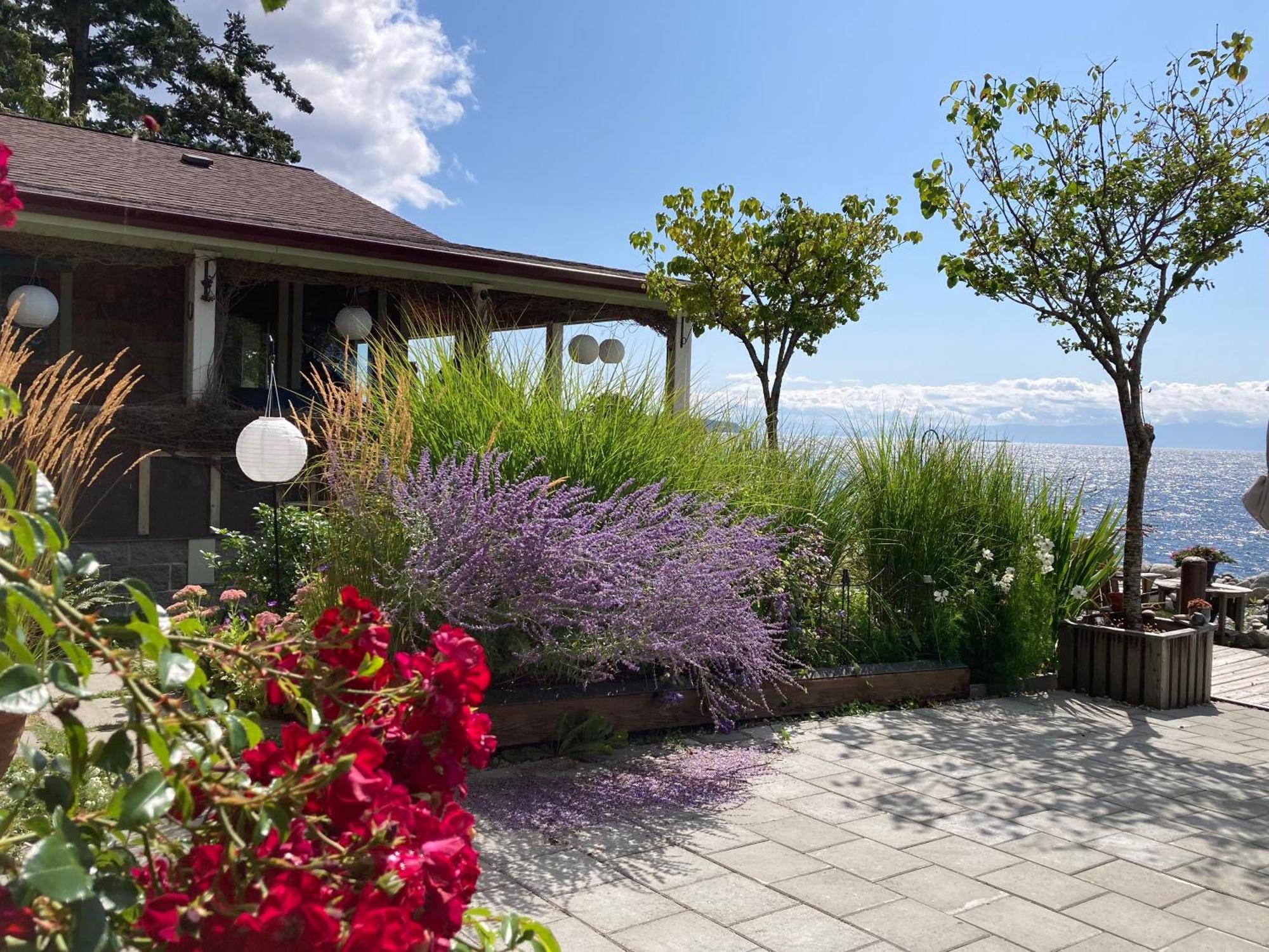 Blitz Beach House Oceanside Suite Powell River Kültér fotó
